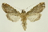  ( - INB0003527503)  @11 [ ] Copyright (2012) Juan Mata Lorenzen Unspecified
