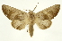  ( - INB0003527638)  @14 [ ] Copyright (2012) J. Montero INBio