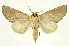  ( - INB0003527638)  @14 [ ] Copyright (2012) J. Montero INBio