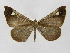  ( - INB0003527670)  @13 [ ] Copyright (2012) J. Montero Instituto Nacional de Biodiversidad