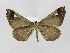  ( - INB0003527670)  @14 [ ] Copyright (2012) J. Montero Instituto Nacional de Biodiversidad