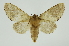  ( - INB0003527923)  @11 [ ] Copyright (2012) Juan Mata Lorenzen Unspecified