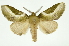  ( - INB0003536143)  @14 [ ] Copyright (2012) Juan Mata Lorenzen Unspecified