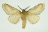  ( - INB0003536143)  @13 [ ] Copyright (2012) Juan Mata Lorenzen Unspecified