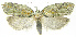  ( - INB0003536261)  @11 [ ] CreativeCommons - Attribution Non-Commercial Share-Alike (2012) National Biodiversity Institute of Costa Rica National Biodiversity Institute of Costa Rica