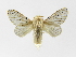  (Artace Montero05 - INB0003536291)  @14 [ ] Copyright (2012) J. Montero Instituto Nacional de Biodiversidad