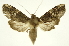  ( - INB0003536306)  @11 [ ] Copyright (2012) Juan Mata Lorenzen Unspecified