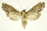  ( - INB0003536306)  @11 [ ] Copyright (2012) Juan Mata Lorenzen Unspecified