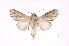  ( - INB0003545120)  @13 [ ] Copyright (2012) I. Chacon Instituto Nacional de Biodiversidad