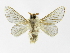  ( - INB0003545488)  @14 [ ] Copyright (2012) J. Montero Instituto Nacional de Biodiversidad