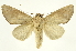  ( - INB0003545684)  @14 [ ] Copyright (2012) J. Montero INBio