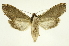  ( - INB0003554345)  @11 [ ] Copyright (2012) Juan Mata Lorenzen Unspecified