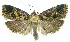  ( - INB0003561578)  @13 [ ] CreativeCommons - Attribution Non-Commercial Share-Alike (2012) National Biodiversity Institute of Costa Rica National Biodiversity Institute of Costa Rica