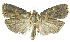  ( - INB0003561578)  @12 [ ] CreativeCommons - Attribution Non-Commercial Share-Alike (2012) National Biodiversity Institute of Costa Rica National Biodiversity Institute of Costa Rica