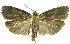  ( - INB0003561579)  @13 [ ] CreativeCommons - Attribution Non-Commercial Share-Alike (2012) National Biodiversity Institute of Costa Rica National Biodiversity Institute of Costa Rica