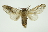  ( - INB0003562578)  @11 [ ] Copyright (2012) Juan Mata Lorenzen Unspecified