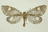  ( - INB0003701292)  @14 [ ] Copyright (2012) Juan Mata Lorenzen Unspecified