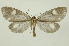  ( - INB0003701292)  @14 [ ] Copyright (2012) Juan Mata Lorenzen Unspecified