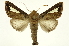  ( - INB0003701454)  @11 [ ] Copyright (2012) Juan Mata Lorenzen Unspecified
