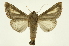  ( - INB0003701454)  @11 [ ] Copyright (2012) Juan Mata Lorenzen Unspecified