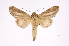  ( - INB0003701455)  @11 [ ] Copyright (2012) I. Chacon Instituto Nacional de Biodiversidad