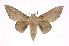  ( - INB0003707547)  @14 [ ] Copyright (2012) I. Chacon Instituto Nacional de Biodiversidad