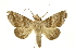  ( - INB0003708537)  @11 [ ] Copyright (2012) Juan Mata Lorenzen Unspecified