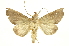  ( - INB0003708537)  @11 [ ] Copyright (2012) Juan Mata Lorenzen Unspecified