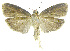  ( - INB0003708591)  @11 [ ] CreativeCommons - Attribution Non-Commercial Share-Alike (2012) National Biodiversity Institute of Costa Rica National Biodiversity Institute of Costa Rica