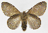  ( - INB0003712311)  @12 [ ] Copyright (2012) J. Montero Instituto Nacional de Biodiversidad