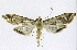  ( - INB0003712488)  @13 [ ] CreativeCommons - Attribution Non-Commercial Share-Alike  National Biodiversity Institute of Costa Rica National Biodiversity Institute of Costa Rica