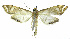  ( - INB0003712488)  @13 [ ] CreativeCommons - Attribution Non-Commercial Share-Alike  National Biodiversity Institute of Costa Rica National Biodiversity Institute of Costa Rica