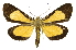  ( - INB0003720056)  @11 [ ] Copyright (2012) Juan Mata Lorenzen Unspecified