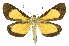  ( - INB0003720056)  @11 [ ] Copyright (2012) Juan Mata Lorenzen Unspecified
