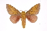  ( - INB0003722633)  @14 [ ] Copyright (2012) I. Chacon Instituto Nacional de Biodiversidad