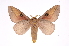  ( - INB0003722633)  @14 [ ] Copyright (2012) I. Chacon Instituto Nacional de Biodiversidad