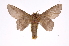  ( - INB0003722701)  @14 [ ] Copyright (2012) I. Chacon Instituto Nacional de Biodiversidad