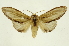  ( - INB0003722711)  @11 [ ] Copyright (2012) Juan Mata Lorenzen Unspecified