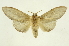  ( - INB0003722711)  @11 [ ] Copyright (2012) Juan Mata Lorenzen Unspecified