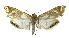  ( - INB0003726072)  @14 [ ] CreativeCommons - Attribution Non-Commercial Share-Alike  National Biodiversity Institute of Costa Rica National Biodiversity Institute of Costa Rica