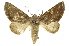  ( - INB0003732720)  @14 [ ] Copyright (2012) J. Montero INBio