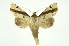  ( - INB0003732805)  @13 [ ] Copyright (2012) Juan Mata Lorenzen Unspecified