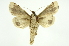  ( - INB0003732805)  @13 [ ] Copyright (2012) Juan Mata Lorenzen Unspecified