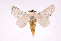 (Artace Montero06 - INB0003732871)  @14 [ ] Copyright (2012) J. Montero Instituto Nacional de Biodiversidad