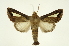  ( - INB0003736675)  @11 [ ] Copyright (2012) Juan Mata Lorenzen Unspecified