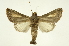  ( - INB0003736675)  @11 [ ] Copyright (2012) Juan Mata Lorenzen Unspecified