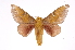  ( - INB0003736962)  @14 [ ] Copyright (2012) I. Chacon Instituto Nacional de Biodiversidad