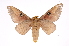 ( - INB0003736962)  @14 [ ] Copyright (2012) I. Chacon Instituto Nacional de Biodiversidad