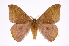  ( - INB0003756258)  @14 [ ] Copyright (2012) I. Chacon Instituto Nacional de Biodiversidad