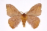  ( - INB0003756258)  @14 [ ] Copyright (2012) I. Chacon Instituto Nacional de Biodiversidad